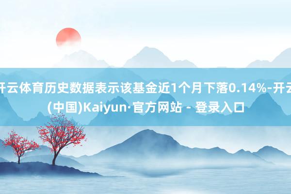 开云体育历史数据表示该基金近1个月下落0.14%-开云(中国)Kaiyun·官方网站 - 登录入口