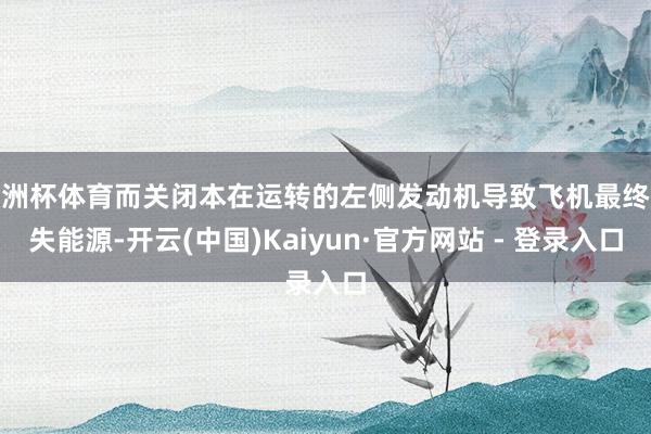 欧洲杯体育而关闭本在运转的左侧发动机导致飞机最终丧失能源-开云(中国)Kaiyun·官方网站 - 登录入口