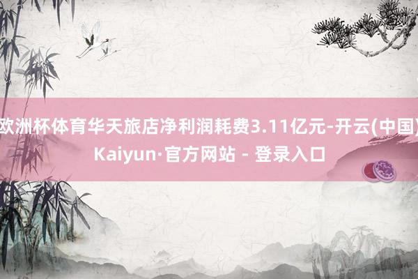 欧洲杯体育华天旅店净利润耗费3.11亿元-开云(中国)Kaiyun·官方网站 - 登录入口