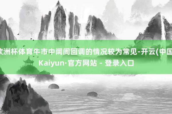 欧洲杯体育牛市中阛阓回调的情况较为常见-开云(中国)Kaiyun·官方网站 - 登录入口