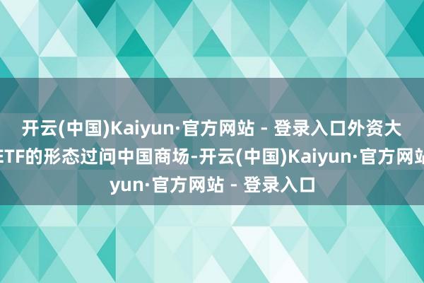 开云(中国)Kaiyun·官方网站 - 登录入口外资大多选拔通过ETF的形态过问中国商场-开云(中国)Kaiyun·官方网站 - 登录入口