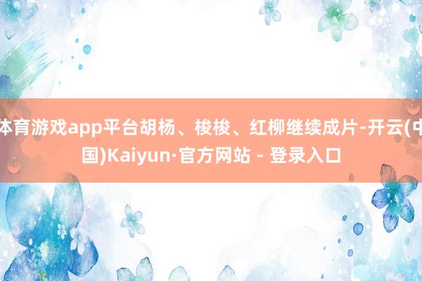 体育游戏app平台胡杨、梭梭、红柳继续成片-开云(中国)Kaiyun·官方网站 - 登录入口