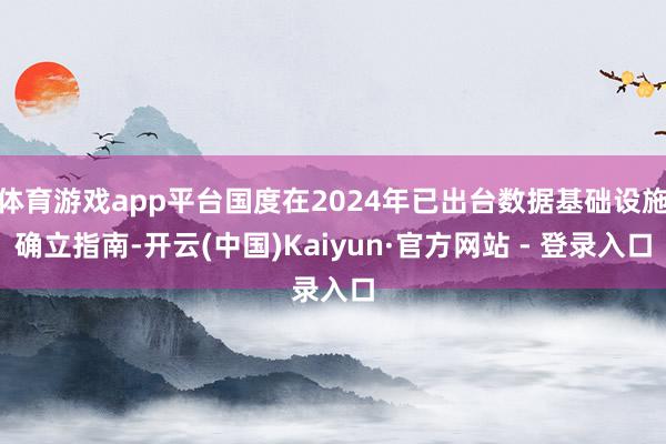 体育游戏app平台国度在2024年已出台数据基础设施确立指南-开云(中国)Kaiyun·官方网站 - 登录入口