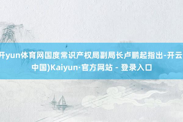 开yun体育网国度常识产权局副局长卢鹏起指出-开云(中国)Kaiyun·官方网站 - 登录入口