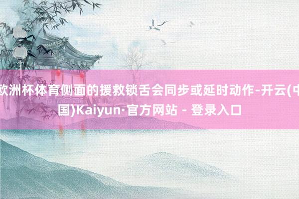 欧洲杯体育侧面的援救锁舌会同步或延时动作-开云(中国)Kaiyun·官方网站 - 登录入口